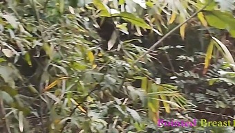 A Wild Ex-Boyfriend Has Intense Sex With A Rural Girl In The Woods Until He Ejaculates